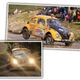 Illustration for article titled This 58-Year-Old Rally Beetle Named Bertie Is Here To Decimate All